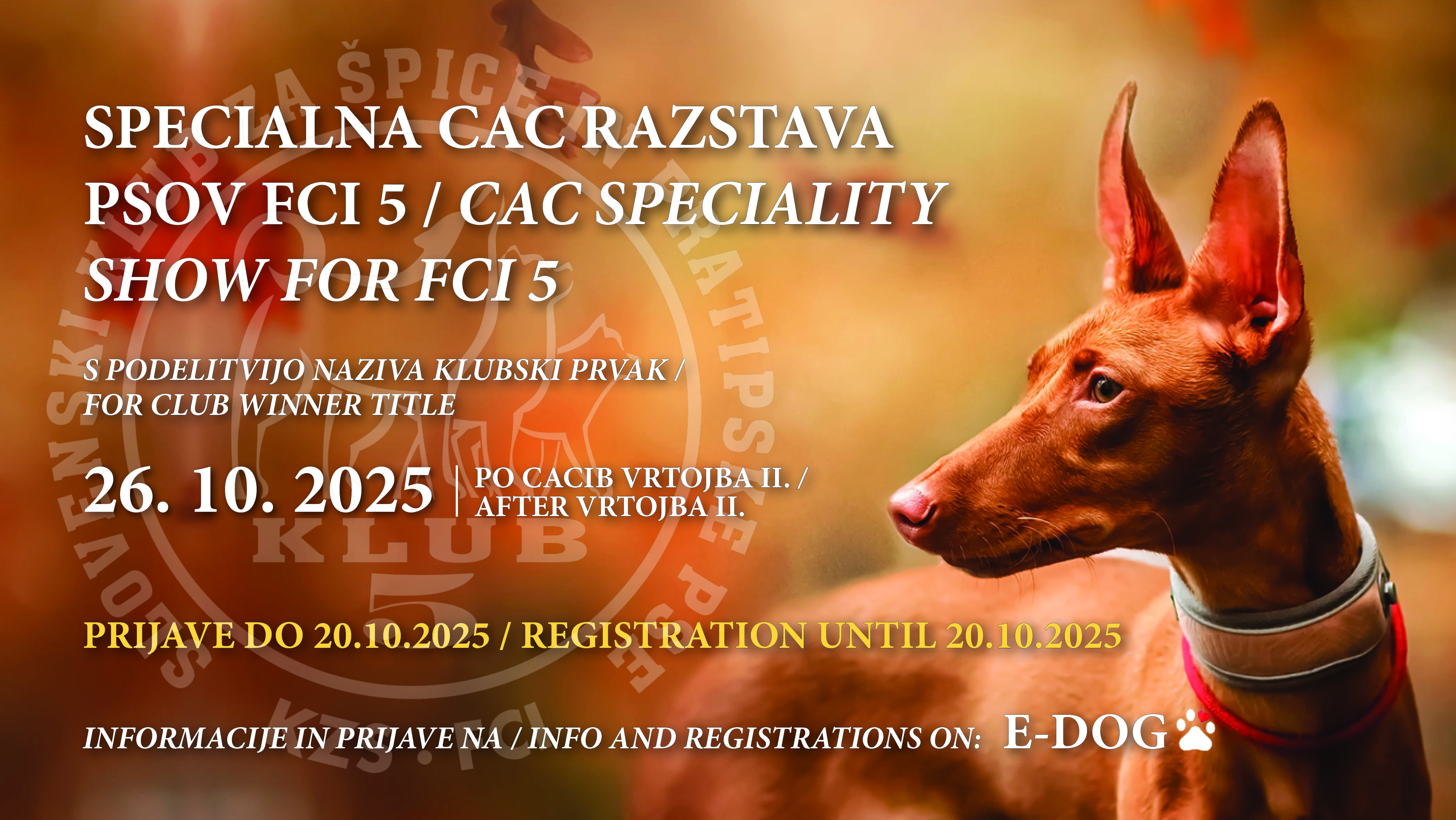FCI1 speciality show